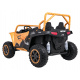 Buggy Arctic Cat Gold