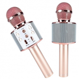 Q17B1 KARAOKE MICROPHONE SPEAKER BLUETOOTH