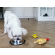 Aga Stainless steel bowl for dog and cat 22 cm