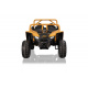 Buggy Arctic Cat Gold
