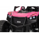Buggy RTR Monster Speed 4x4 Pink