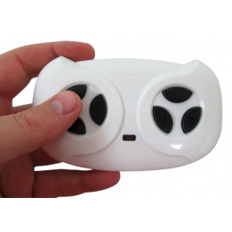 Pilot 2.4 G, Battery-powered Vehicle, Accessories, model to GTR-s