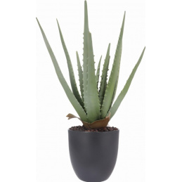 Artificial Aloe Plant in Pot, Height 45 cm, Green LIKE REAL