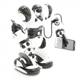B12A ROBOT R/C HUMANOID ROBOSAPIEN