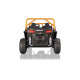 Buggy Arctic Cat Gold