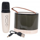 Karaoke Microphone Set + Backlit Speaker