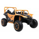 Buggy Arctic Cat Gold