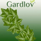 Hanging artificial ivy 50,4 m Gardlov 19737