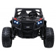 Buggy RTR Monster Speed 4x4 Black Vehicle