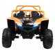 Buggy Arctic Cat Gold