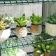 Aga Garden Greenhouse 165x69x50 cm