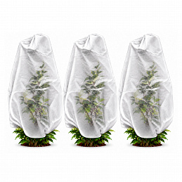 Aga Plant Cover AGO8097