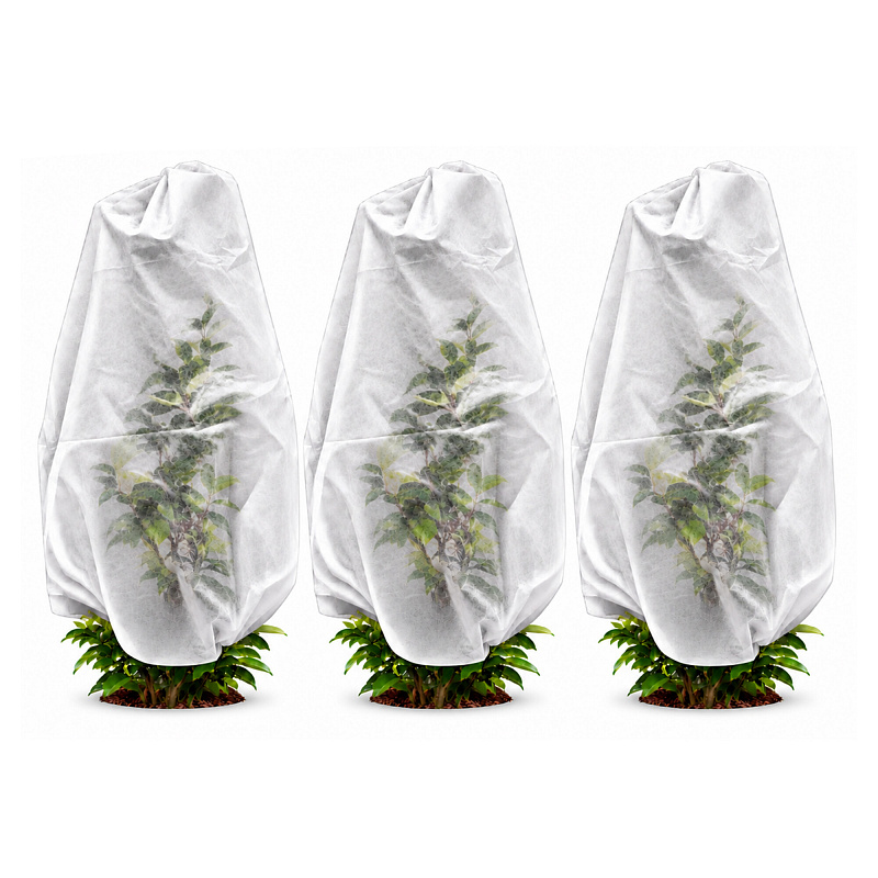Aga Plant Cover AGO8097