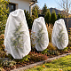 Aga Plant Cover AGO8097