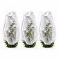 Aga Plant Cover AGO8097