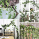 Hanging artificial ivy 50,4 m Gardlov 19737