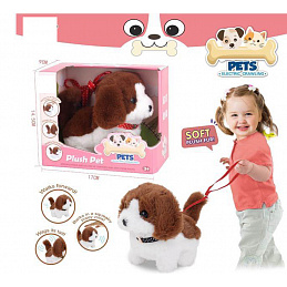 Small Interactive Pet