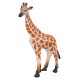 Wild Animals Set 29pcs.