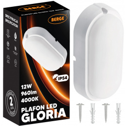 Surface-mounted ceiling LED light 12W neutral white