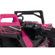 Buggy RTR Monster Speed 4x4 Pink