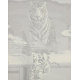 Aga Paint by Numbers 40x50cm Cat and Tiger