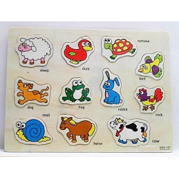 Wooden Animal Learning Set