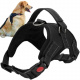 Harness for dog, size. M