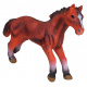 Set of 18 animals. Farm