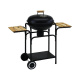 Aga Garden grill ACTIVA 19426 44 cm