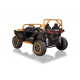 Buggy Arctic Cat Gold