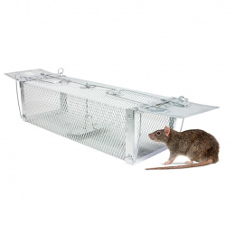 Q25A CAGE TRAP FOR MARTENS, RATS
