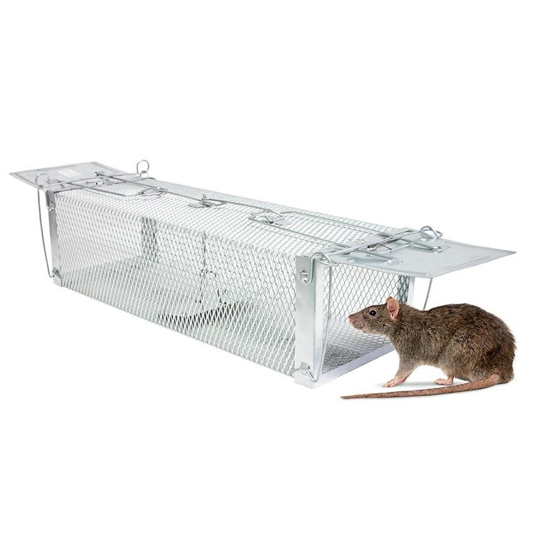 Q25A CAGE TRAP FOR MARTENS, RATS