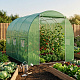 Aga Garden polytunnel MR4004CH 3,5x2x2 m
