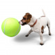 Aga Toy for dogs giant tennis ball XXL 24cm