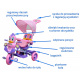 3-Wheeled Balance Bike for Kids Kačenka Purple + Sounds + Canopy + Barrier + Footrest + Handle + Storage Space
