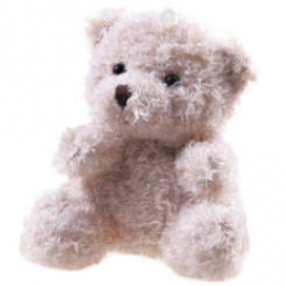 Plush teddy bear plush mascot keychain ZA4404