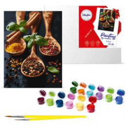 Paint by Numbers Set Selected Spices KHO5689 30 x 40 AP0011 Universal