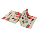 Aga Educational folding foam double-sided mat City/Les