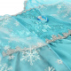 Aga Carnival costume Elsa Frozen Ice Kingdom 120cm
