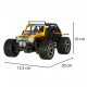 RC Remote Control Car WLToys 22201 1:22 2WD
