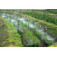 Water mist 11 nozzles,10 m Malatec 18318