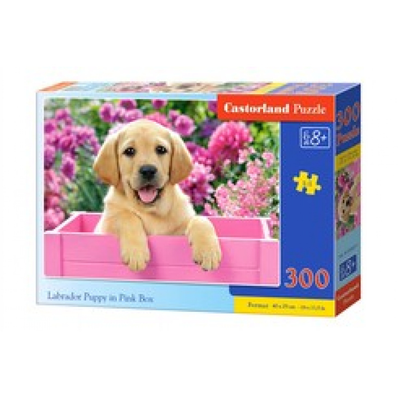 CASTORLAND Puzzle 300 pieces - Labrador Puppy