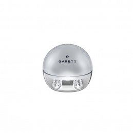 Garett Beauty Pretty Face Silver Facial Massager