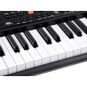 Organ with microphone SD-S850 61 keys IN0143
