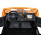 Buggy Arctic Cat Gold
