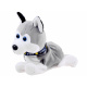 Interactive dog Husky ZA1333