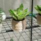 Aga Garden Greenhouse 144x48x152 cm