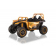 Buggy Arctic Cat Gold
