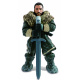 Mega Bloks Battle of the White Walker
