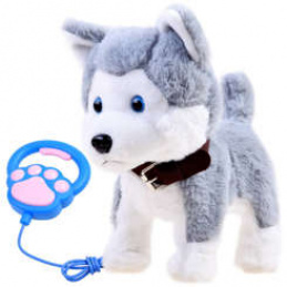 Interactive dog Husky on leash ZA3888